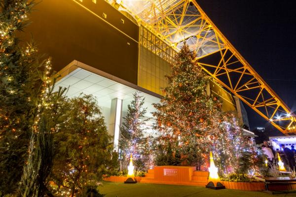 東京鐵塔冬季燈光投影表演 11米高巨型聖誕樹+飄雪燈飾