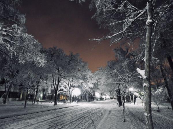 白雪夜景神秘又浪漫！ 網民拍下北海道校園唯美雪景