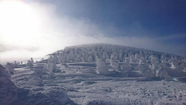 日本雪山出現雪怪？ 山形縣藏王樹冰