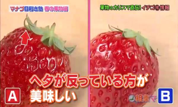 揀日本草莓秘訣 葉