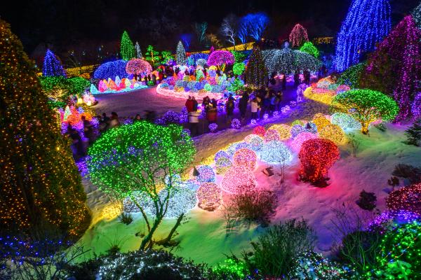 夢幻童話燈光森林！首爾晨靜樹木園五色星光庭園