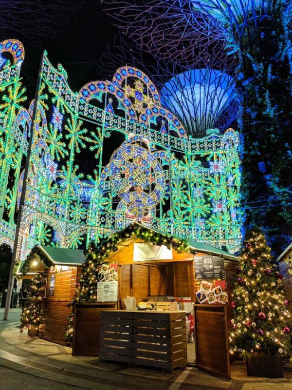 新加坡濱海灣花園Christmas Wonderland 植物園化身聖誕仙境！
