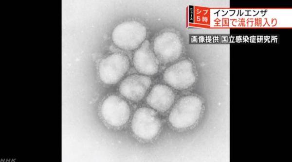 日本全國進入冬季流感高峰期 遊日人士注意衛生預防感染