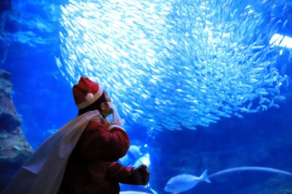 京都水族館為客人解決戀愛煩惱 爆笑回答網民大讚有創意