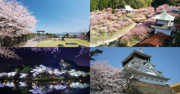 九州 櫻花景點 推介