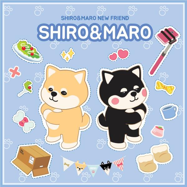 首爾SHIRO&MARO限定店 柴犬孖寶有新朋友！