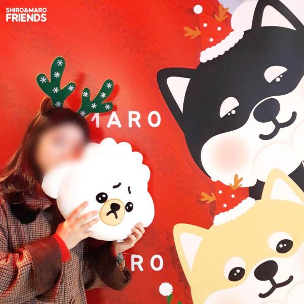 首爾SHIRO&MARO限定店 柴犬孖寶有新朋友！