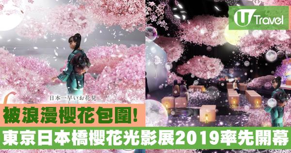 東京日本橋櫻花光影展2019 不一樣的浪漫賞櫻體驗！