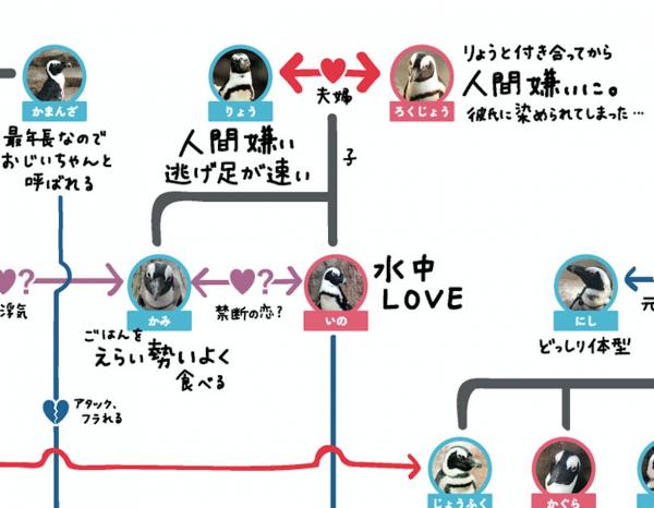 多角戀關係複雜過電視劇？ 京都水族館公開企鵝關係圖