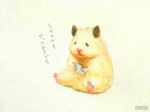日本瘋傳！90後倉鼠主人超有愛手繪治癒水彩插圖紀錄日常