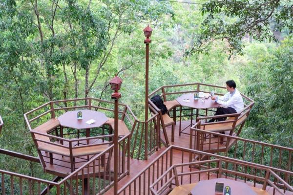 懸空座位+絕美山林景！ 清邁隱世巨型樹屋cafe－The Giant Chiang Mai