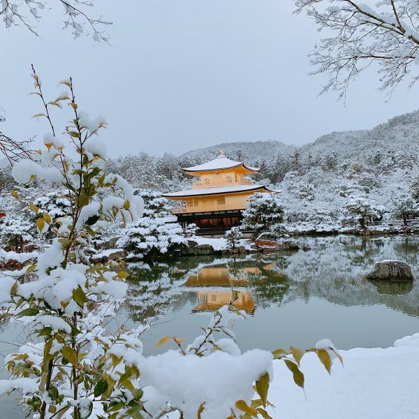 金閣寺雪化妝可遇不可求 京都冬天絕美景色