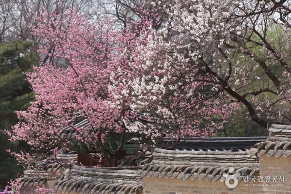 2018年度韓國最多人搜尋的10大景點 你又去過幾多個？