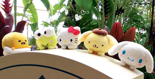 日本Sanrio推出毛公仔杯緣子 蛋黃哥、布甸狗一排倚靠在家中每個角落！