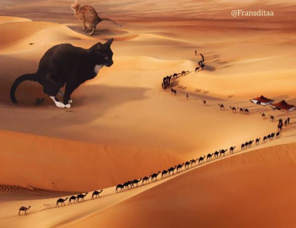 超巨型貓星人侵略世界名勝 沙漠化身巨型貓廁所！
