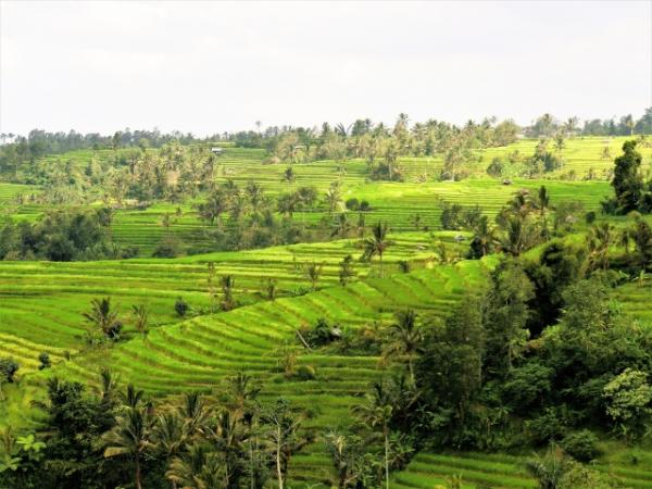 最適宜獨遊目的地 印尼