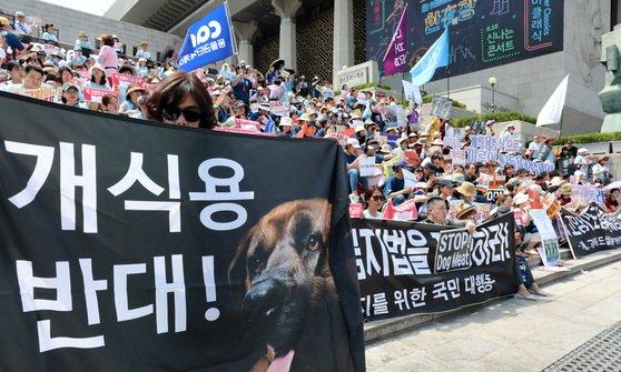 韓國狗肉文化逐漸式微 首爾市長承諾狗肉屠場全面關閉！