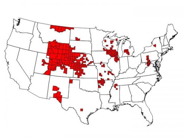 「喪屍鹿」蔓延美國24州　專家：人類或會受感染