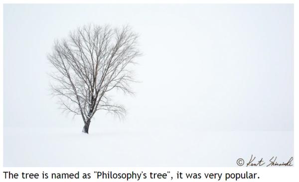 香港攝影師為影靚相擅闖私人農地 日攝影師：北海道不歡迎失禮遊客！