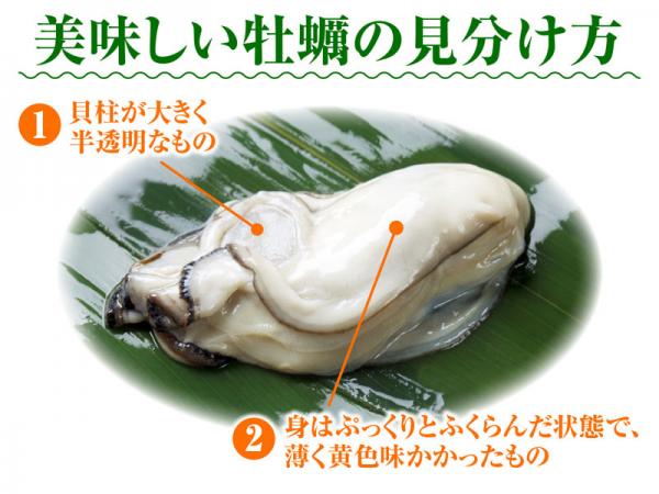 蠔身漲卜卜、帶子半透明最美味？ 日本蠔專家教你吃新鮮生蠔