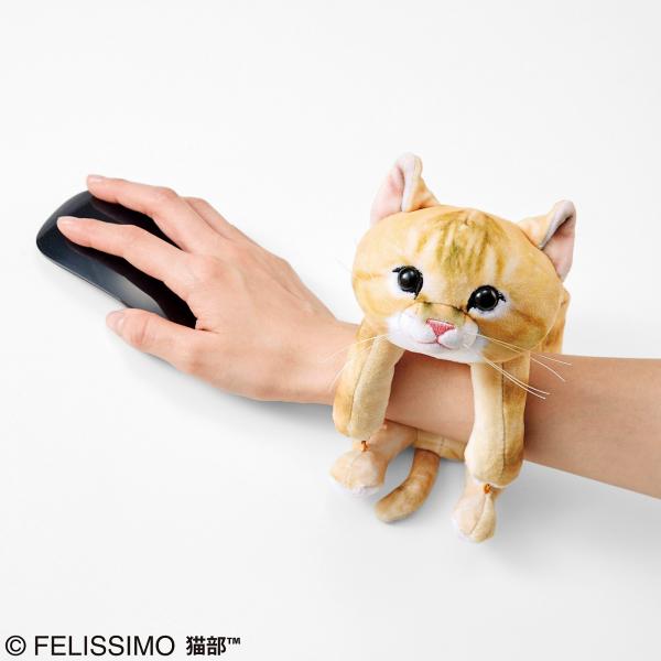 想抓住你的手臂不放！ 日本超得意貓咪手臂枕
