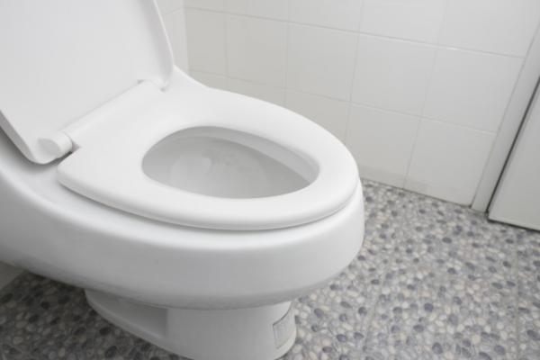公廁廁板鋪廁紙原來更污糟！ 專家：廁紙佈滿糞便細菌