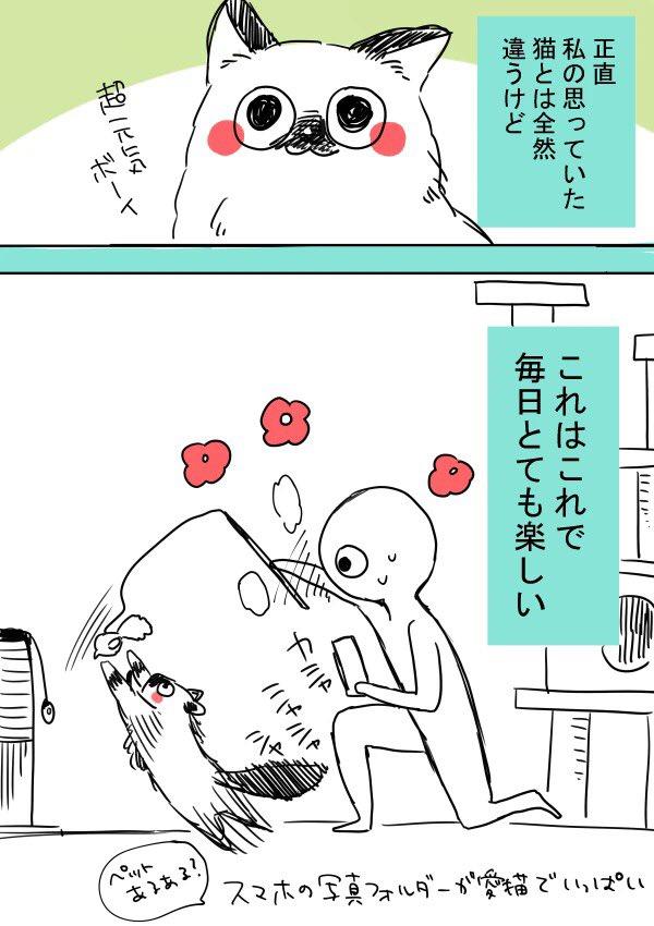 「和我想像中的貓貓完全不同！」 日本網民將貓貓生活日常畫成漫畫　貓奴大讚有共鳴！