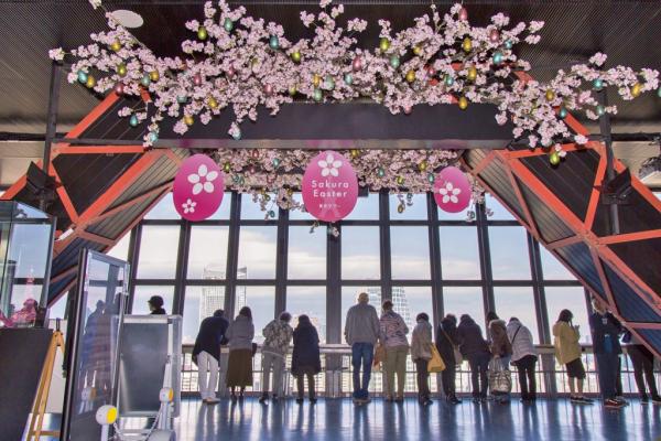 整座鐵塔被粉紅櫻花包圍！ 東京鐵塔櫻花夜景投影展