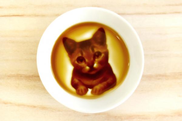 貓 醬油碟