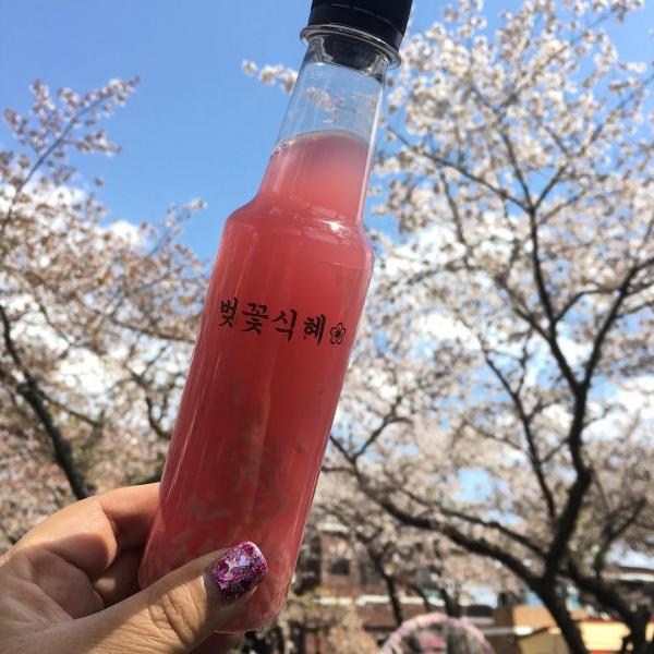 韓國櫻花季限定手信推介 櫻花燒酒／櫻花甜米露／櫻花餅