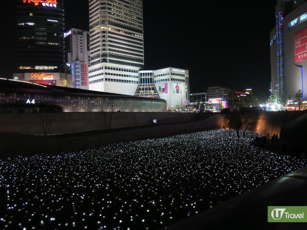 首爾東大門玫瑰花海展示即將完結？ 東大門地標即將消失？