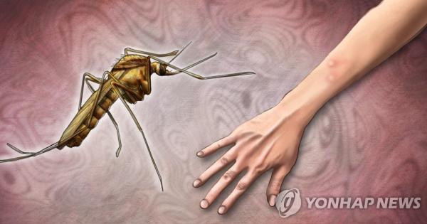 韓國政府發布「日本腦炎警報」生效 首現病媒蚊蹤影！