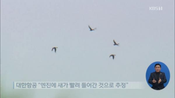 大韓航空乘客拍到引擎噴火！ 疑有雀鳥飛入致引擎故障