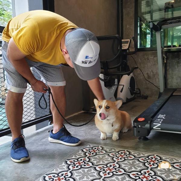 泰國曼谷哥基主題咖啡店 超治癒哥基犬BB！
