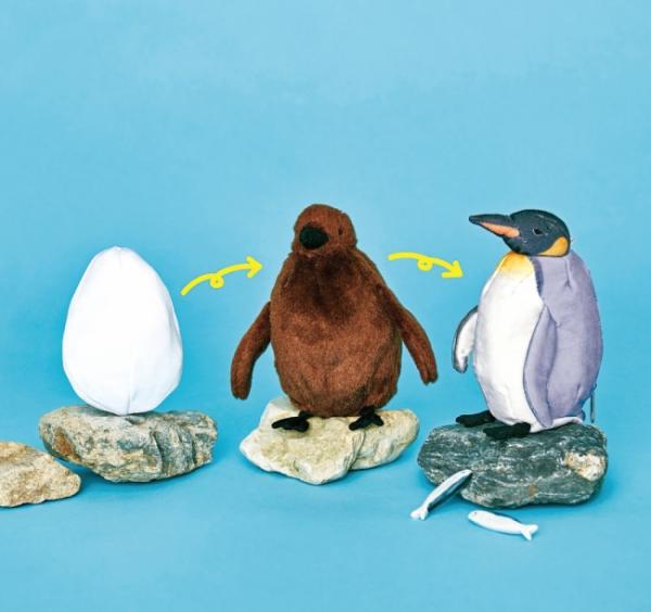 由蛋孵化成企鵝 日本新推超萌企鵝進化公仔