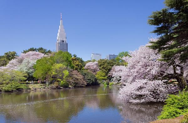 日本15大最受遊客歡迎觀光景點 新宿御苑