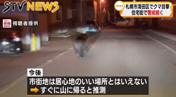 北海道札幌驚見熊遊蕩奔跑 警方籲民眾小心