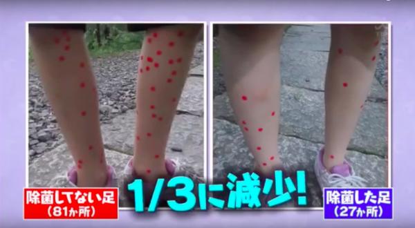 哪種人最易被蚊咬？日本節目教你1招輕鬆防蚊咬