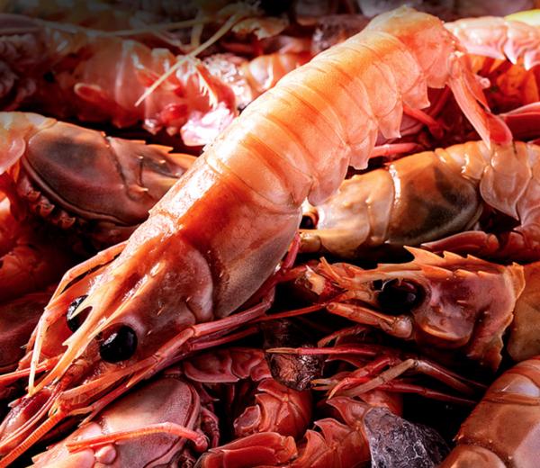 韓國推罐裝醬油蝦系列 即買即食超鮮味！