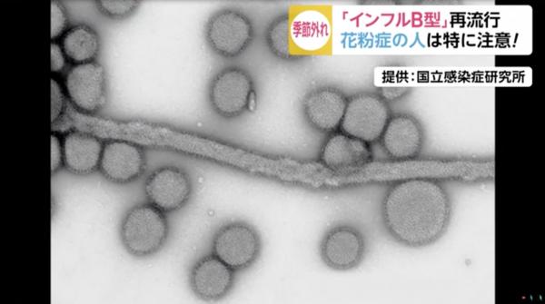 10連休黃金週前流感再有擴散跡象 東京都內一周感染數字上升2倍 超越流行警戒線