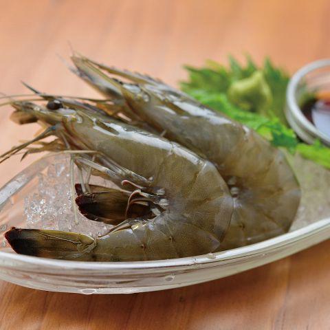 難波龍蝦專門店海老バル SHRIMP SHRIMP 客人親自抓新鮮龍蝦、即抓即煮！