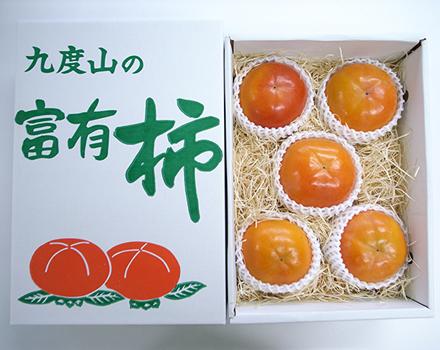 日本和歌山富有柿