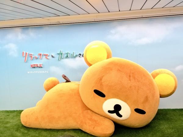 全長3.3米巨型鬆弛熊快閃新宿地鐵站 懶洋洋攤地板超治癒