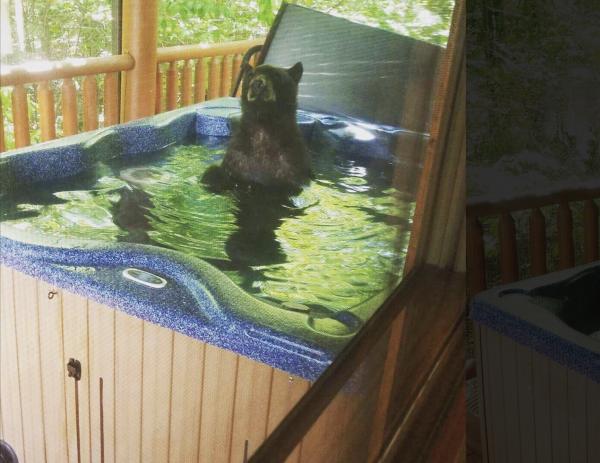美國情侶郊外木屋度假 小黑熊霸浴缸大歎熱水浴