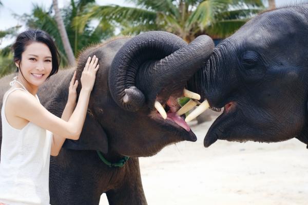 難得可以零距離接觸大象。