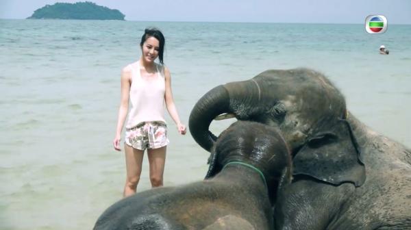 泰國曼谷、象島景點總整理 跟張曦雯享受陽光與海灘！