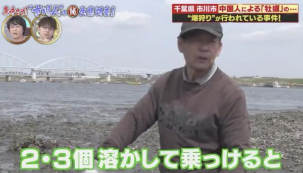 節目揭中國遊客湧日本瘋狂採蠔 中國遊客：日本人放著不採真浪費！