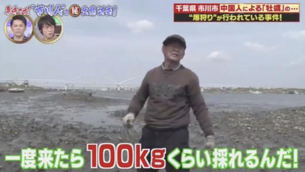 節目揭中國遊客湧日本瘋狂採蠔 中國遊客：日本人放著不採真浪費！