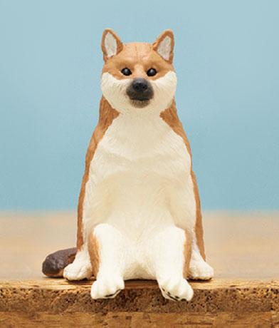 日本推出可愛柴犬扭蛋 柴犬乖乖坐著思考人生？