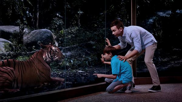 新加坡家庭親子遊10大景點推介 全球最大水族館/夜間動物園/室內飛行體驗